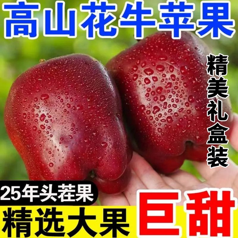 【礼盒装】正宗甘肃天水花牛苹果新鲜甜水果团购批发送礼年货整箱