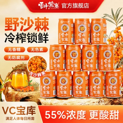云中紫塞280ml*12罐装沙棘汁饮料山西大同特产生榨沙棘VC果汁整箱