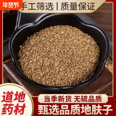 地肤子中药材地肤籽中药扫帚籽扫帚子扫帚草籽扫把树种子野生新鲜