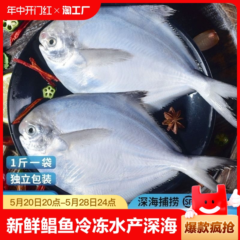 【GC】新鲜银鲳鱼冷冻海鲜水产鲜活海鱼小鲳鱼白鲳鱼银昌鱼鲳鳊鱼 水产肉类/新鲜蔬果/熟食 鲳鱼 原图主图