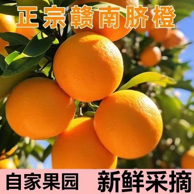 赣南脐橙应当季新鲜现摘橙子江西正宗甜橙果园已整箱直发大果橙子