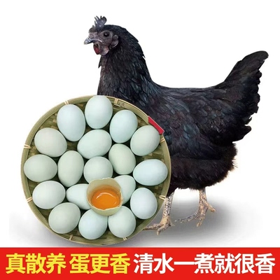 农家散养乌鸡蛋绿壳鸡蛋土鸡蛋鲜蛋生态放养乌骨鸡蛋高营养多规格