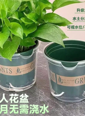 绿萝花盆懒人自动吸水双层塑料盆栽室内阳台免浇水透明储水加仑盆