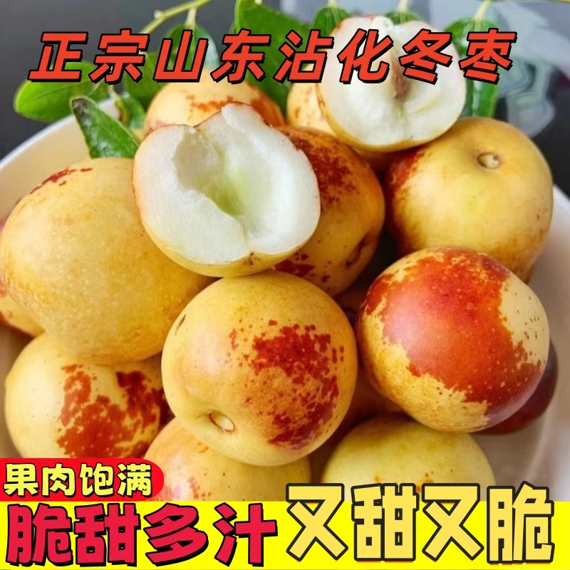 正宗沾化冬枣山东特产脆枣新鲜采摘原生态种植5斤装礼盒整箱包邮
