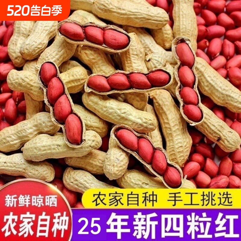 新货东北红皮花生带壳红花生米生花生种籽新鲜种子炒花生自种晒干