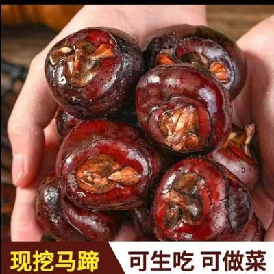 农家种植新鲜现挖马蹄新鲜水果荸荠地栗超脆甜化渣新鲜土特产5斤