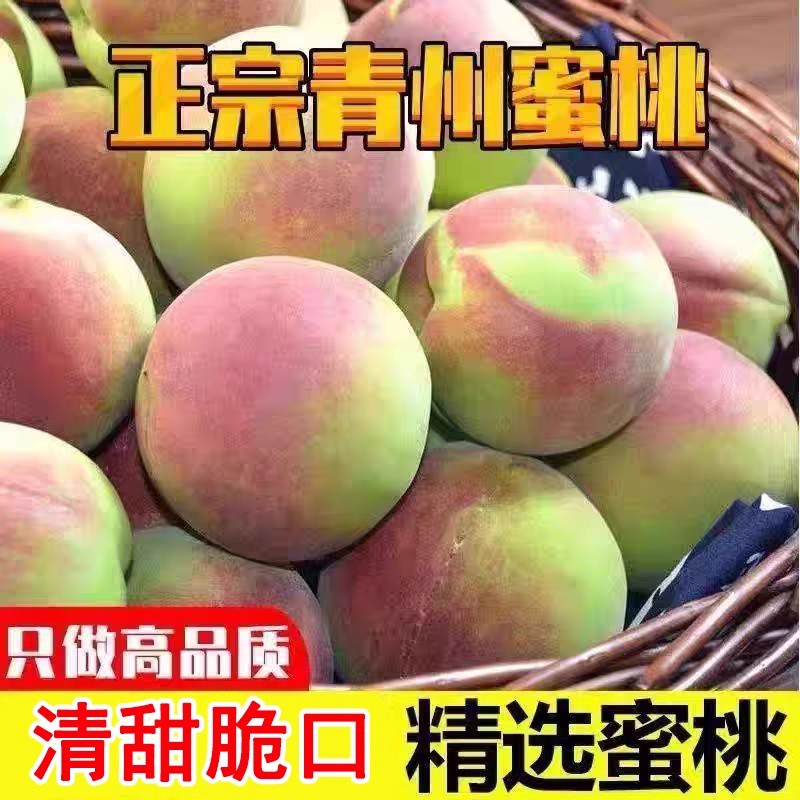 甜冬桃山东青州蜜桃雪桃桃子新鲜毛桃现发孕妇水果脆甜冬桃产地