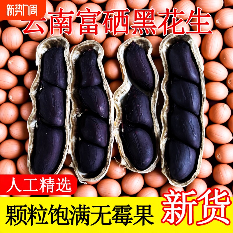 云南富硒黑花生带壳甜小粒黑皮花生普洱特产2025新货黑皮花生