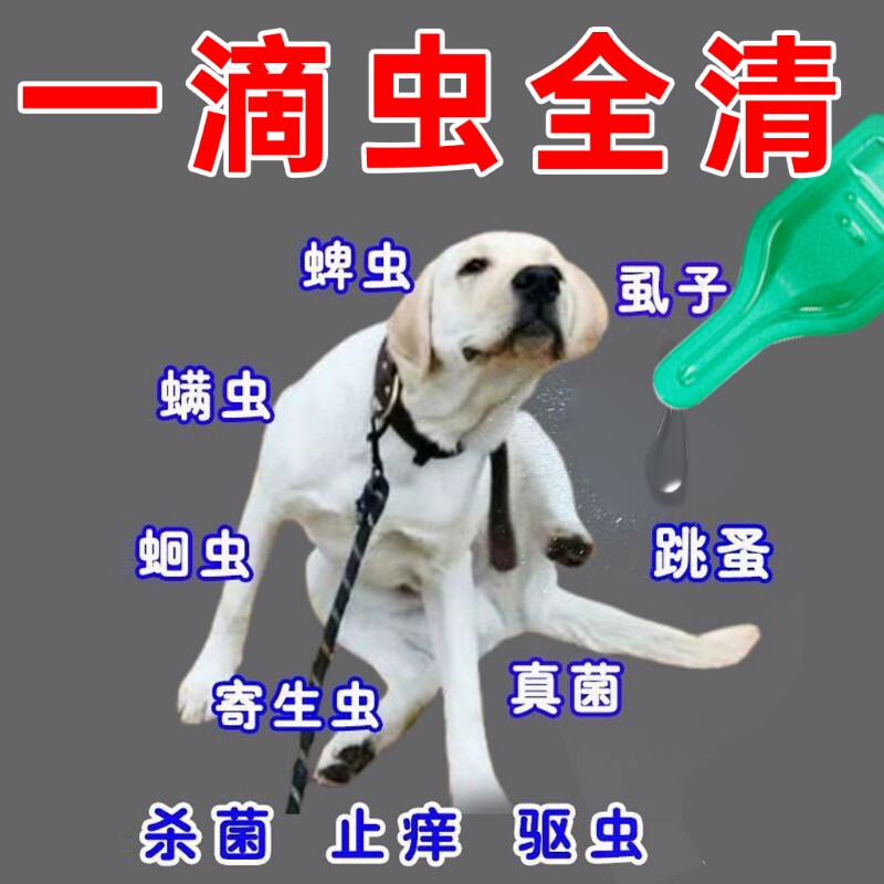 猫咪狗狗驱虫药体内体外一体宠物跳蚤蜱虫幼犬体外非泼罗尼滴剂猫