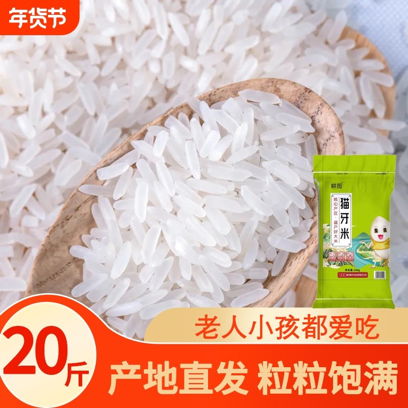 南方大米丝苗米10斤/20斤当季新米晚稻米猫牙香米长粒米饭现磨,粮油调味/速食/干货/烘焙,大米,淘宝优惠券,粉丝福利购,淘宝优惠卷
