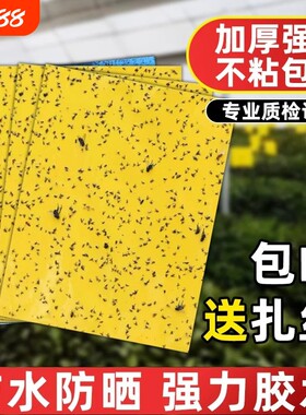 【狂销千万张】双面粘虫黄板诱虫