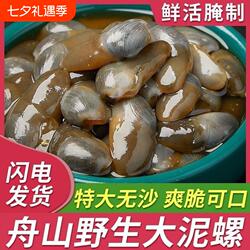 醉泥螺特大黄泥螺鲜活腌制潮汕生腌即食罐装舟山特产海鲜无沙新鲜
