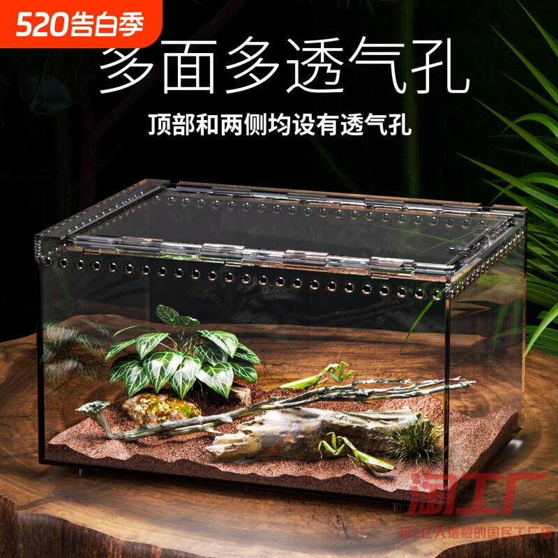 树栖箱全景爬虫缸蜥蜴睫角守宫独角仙饲养盒蜘蛛蛇蜗牛巴西龟甲虫