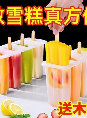 大号雪糕模具自制美味安全放心