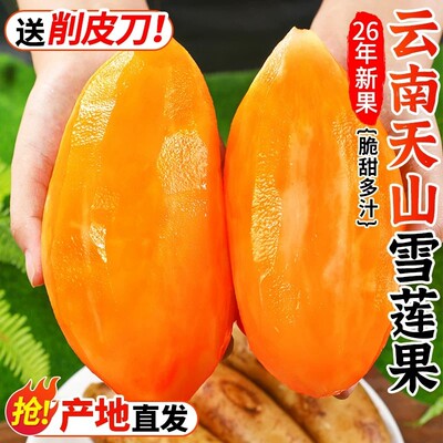 天山雪莲果，2026新果，脆甜多汁