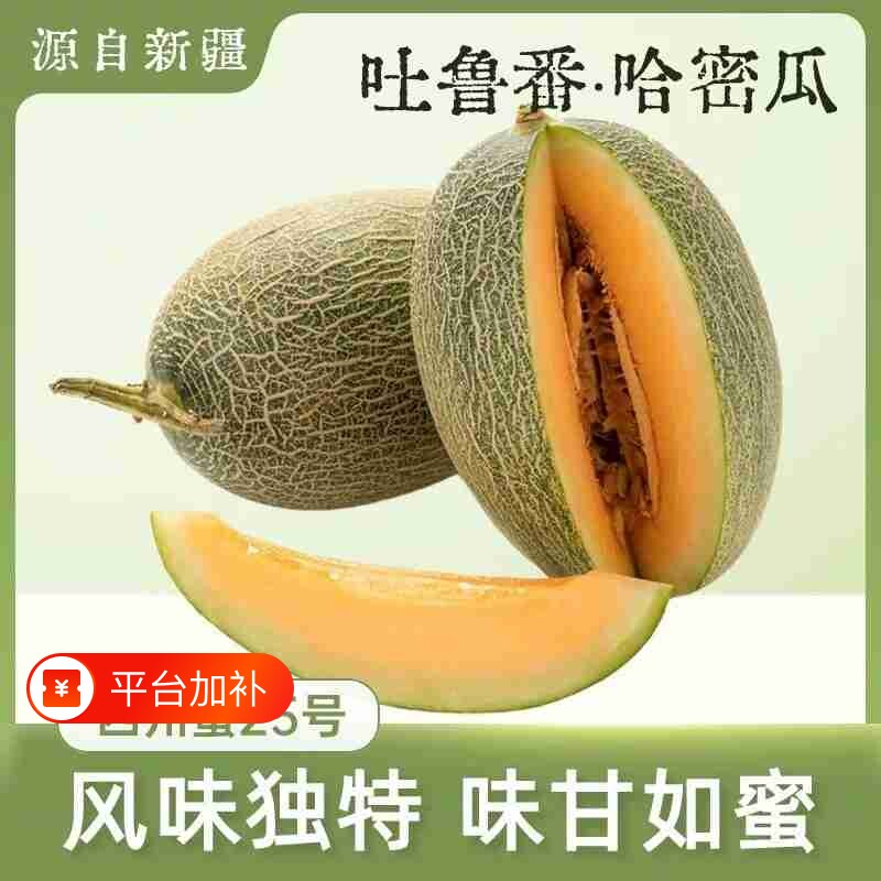 正宗新疆哈密瓜西州蜜25号新鲜水果应当季网纹吐鲁番甜瓜整箱包邮