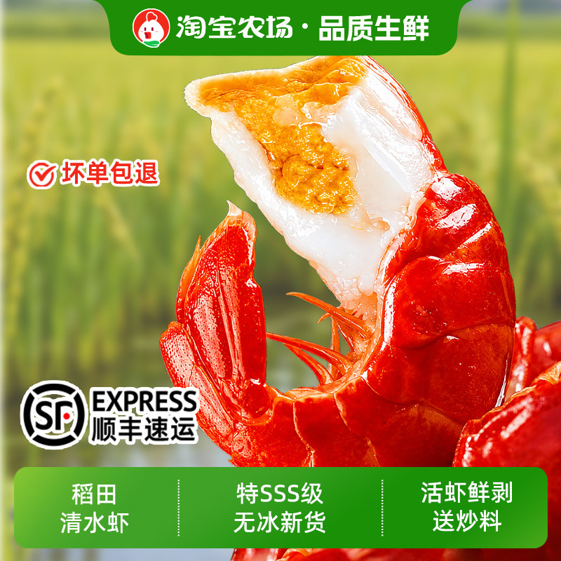 龙虾尾冷冻生鲜特大号无冰衣鲜活小龙虾尾鲜冻食品营养麻辣虾米