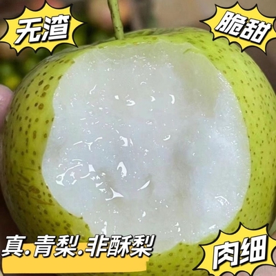 梨子新鲜砀山青梨皇冠梨当季翠冠梨香酥脆蜜早雪梨整箱包邮正宗