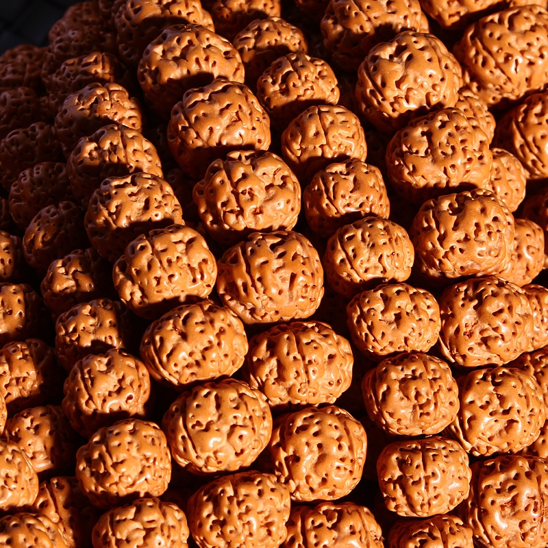 树王小金刚菩提手串文玩盘玩