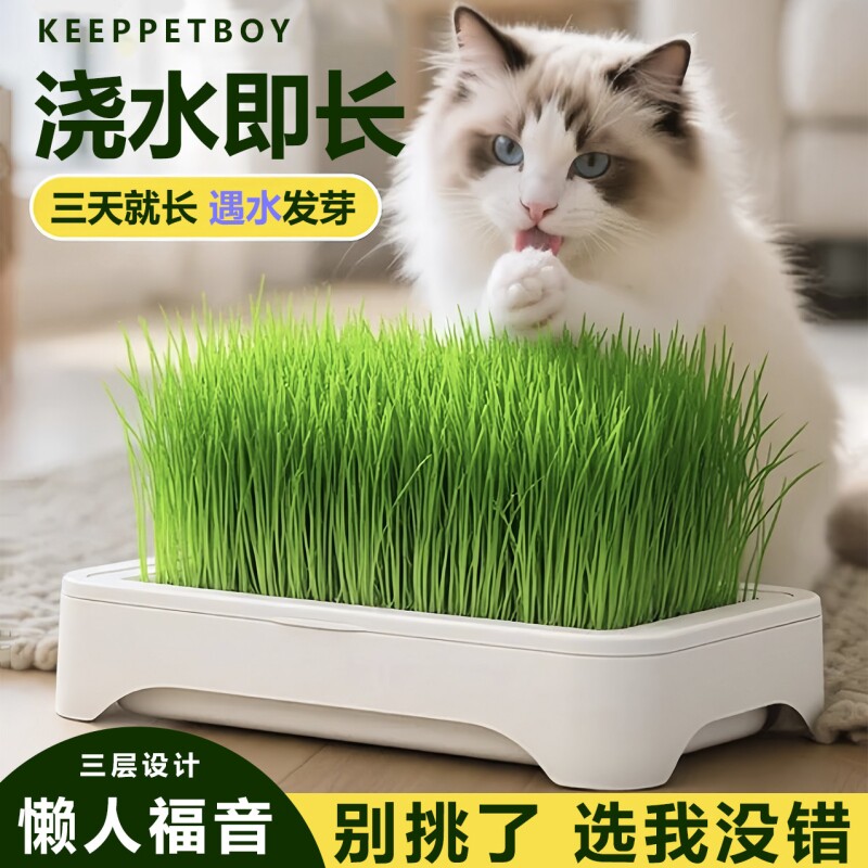 猫草新款网红猫草水培盒套装即食猫零食天然去毛球化毛猫草盆