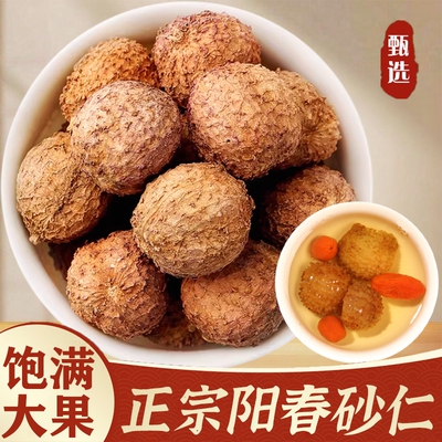 正宗阳春砂仁广东阳春特产春砂仁香料新货头茬大果老树春沙仁煲汤