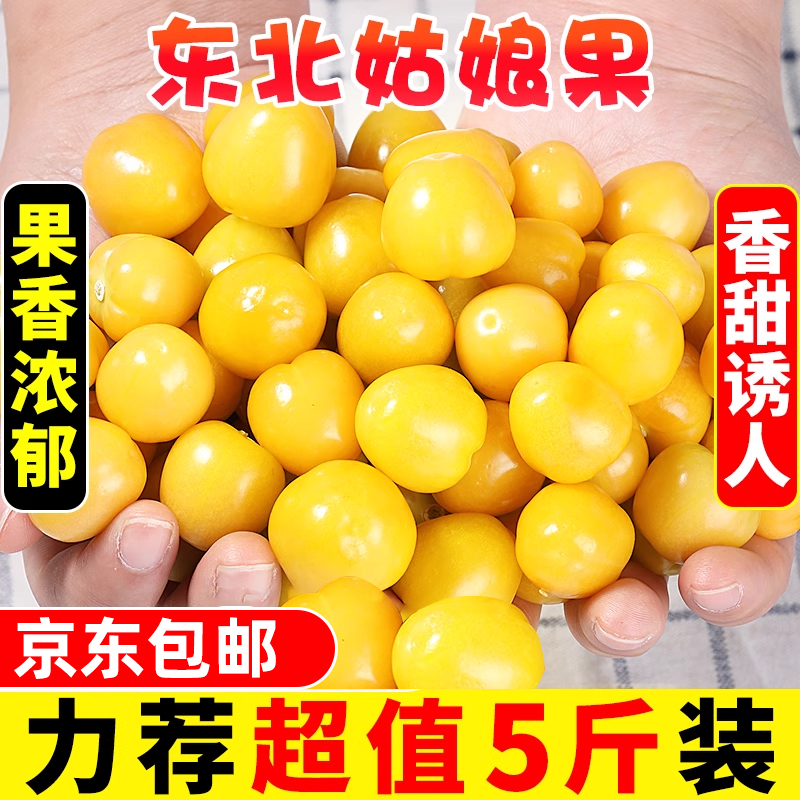 东北姑娘果大果新鲜当季水果特产灯笼果小金豆甜菇娘果京东包邮