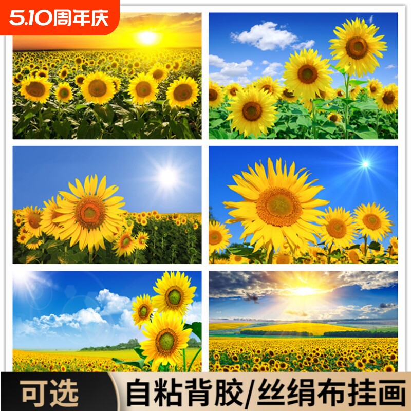 向日葵沙发装饰画挂画太阳花自粘墙贴纸壁画油画床头海报客厅墙面