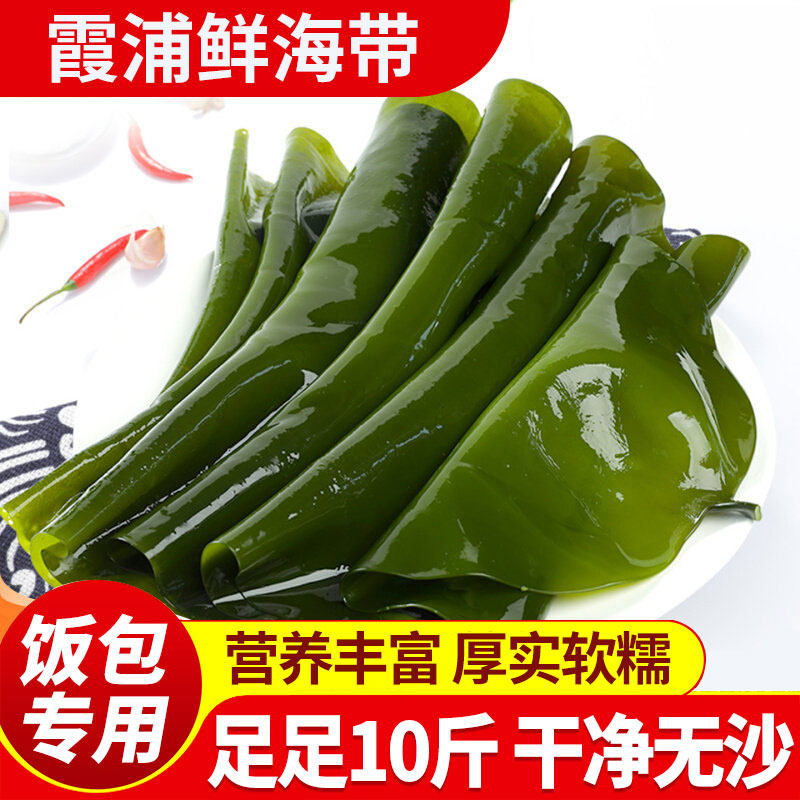 盐渍鲜海带饭包专用整颗条裙带菜包饭凉拌菜火锅食材新鲜煲汤卤味