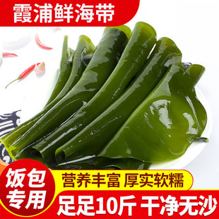 盐渍鲜海带饭包专用整颗条裙带菜包饭凉拌菜火锅食材新鲜煲汤卤味