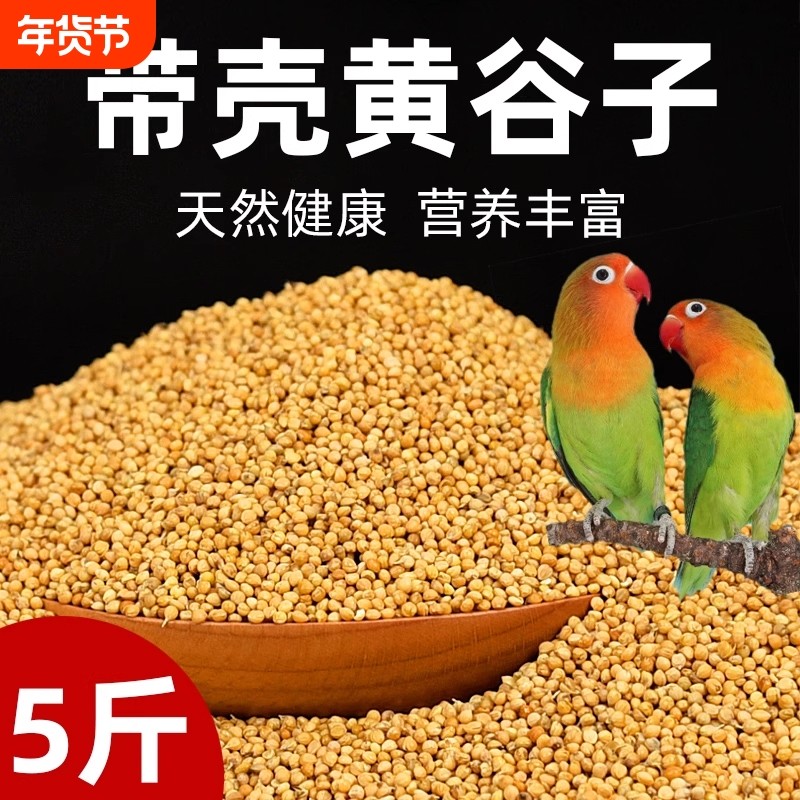 鹦鹉饲料鸟粮新黄谷子带壳小米虎皮鹦鹉饲料玄凤牡丹专用鸟食粮食,宠物/宠物食品及用品,鸟食,淘宝优惠券,粉丝福利购,淘宝优惠卷