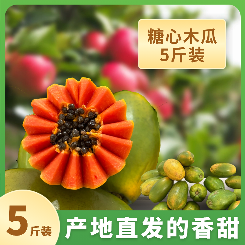 湛江自家果园雷州冰糖木瓜现摘树上熟应当季新鲜青皮红心牛奶水果