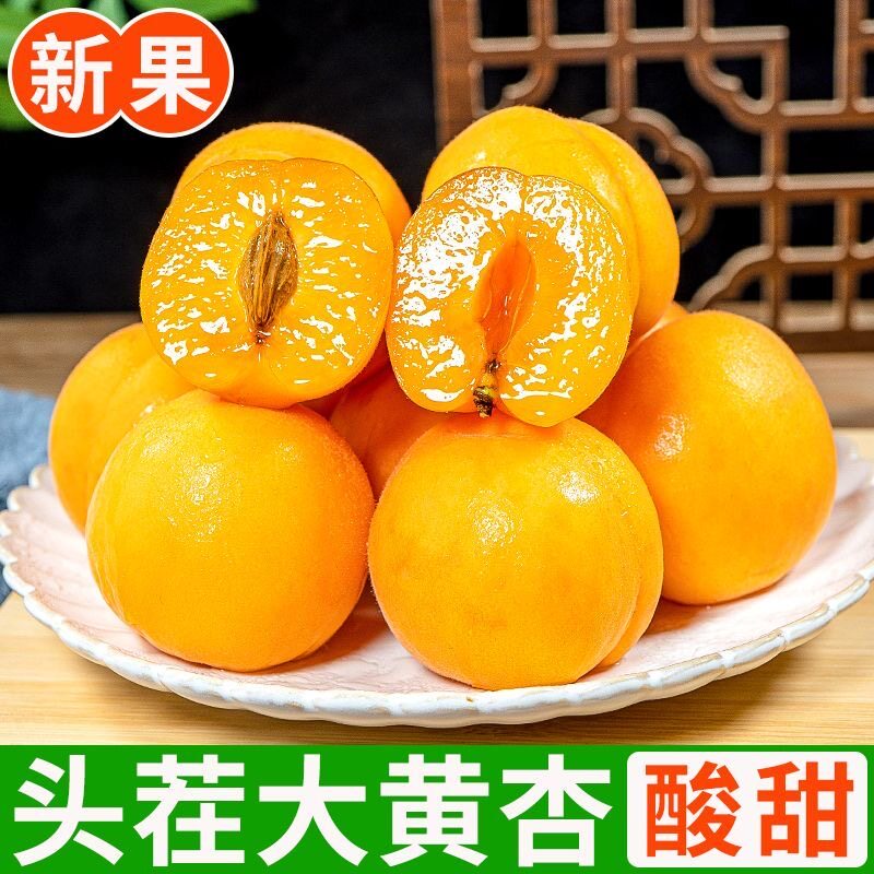 正宗山西大黄杏新鲜头茬金太阳自然成熟农家杏子酸甜可口现摘批发