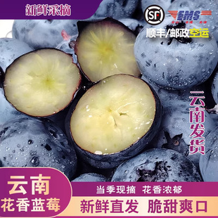 云南花香蓝莓鲜果新鲜水果现货l25蓝莓高山花香蓝莓新鲜整箱空运