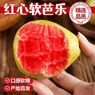 广西红心芭乐水果新鲜包邮红心番石榴胭脂红草莓芭乐5斤软糯整箱