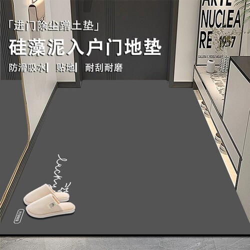 硅藻泥地垫入户门垫玄关垫门口进门家用脚垫浴室防滑垫卧室地板垫