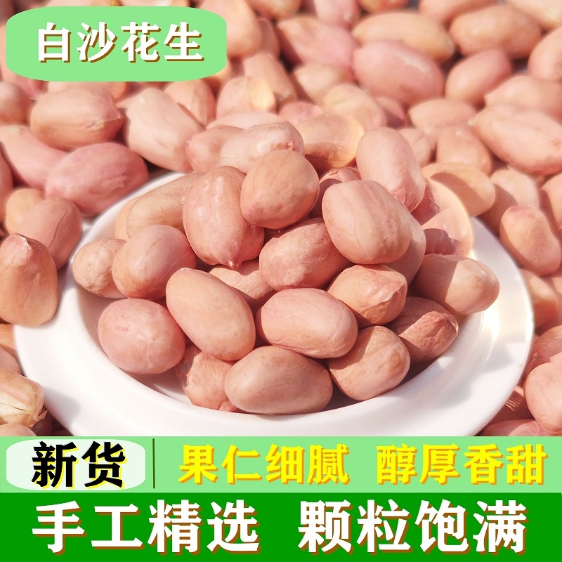 25年精选新货大粒新鲜饱满果仁榨油商用无壳花生原味白皮大颗粒