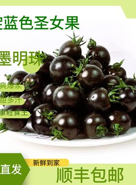 现摘墨明珠番茄黑玫瑰小番茄紫黑色圣女果紫龙樊水果花青素小柿子