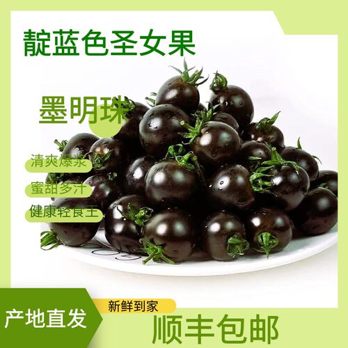 现摘墨明珠番茄黑玫瑰小番茄紫黑色圣女果紫龙樊水果花青素小柿子