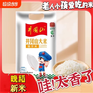 新米现磨新米新鲜出炉井冈山猫牙米好吃的长粒江南香米软糯美味
