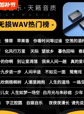 车载音乐U盘无损音质新款汽车抖音热门流行DJ歌曲真WAV音乐U盘