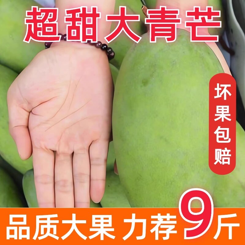 芒果新鲜越南大青芒特大生鲜整箱金煌芒青芒果热带鲜果包邮大果