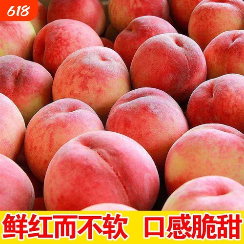 水蜜桃新鲜桃子水果毛桃香软当季现摘现发脆甜多汁孕妇儿童整箱