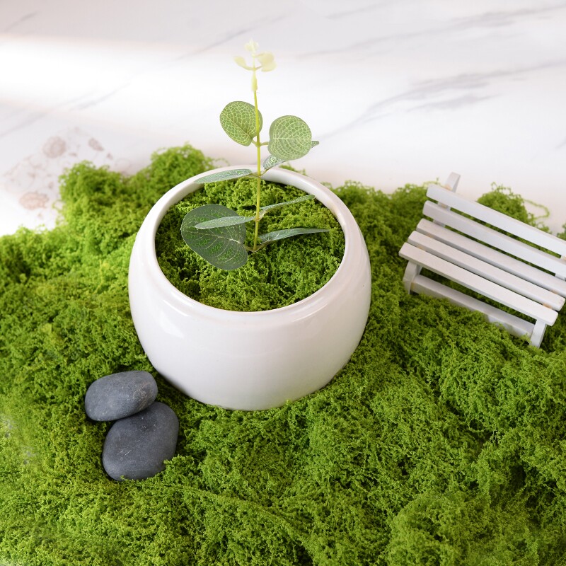 仿真绿植造景假苔藓青苔植物装饰摆放室内玄关阳台微景观草布置