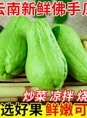 佛手瓜新鲜云南佛手瓜洋瓜丰收瓜洋丝瓜倭瓜寿瓜农家自种蔬菜