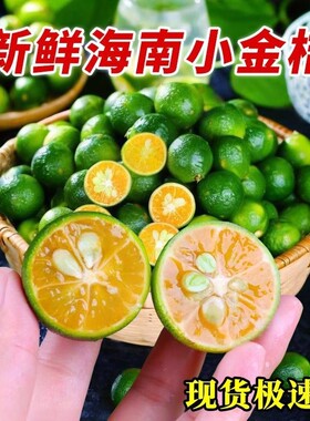 新鲜海南小金桔奶茶店专用