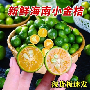 海南小青桔金桔新鲜青柠檬青柑应季当季水果柠檬5斤金橘奶茶店