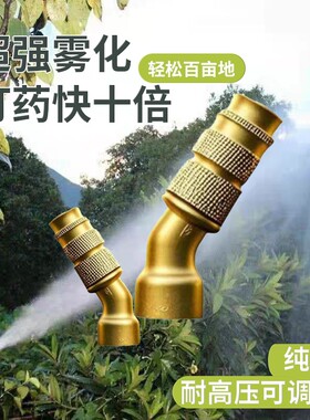 气喷药打药喷头可雾化农用铜喷头进口高压喷雾器电动直喷全铜纯铜