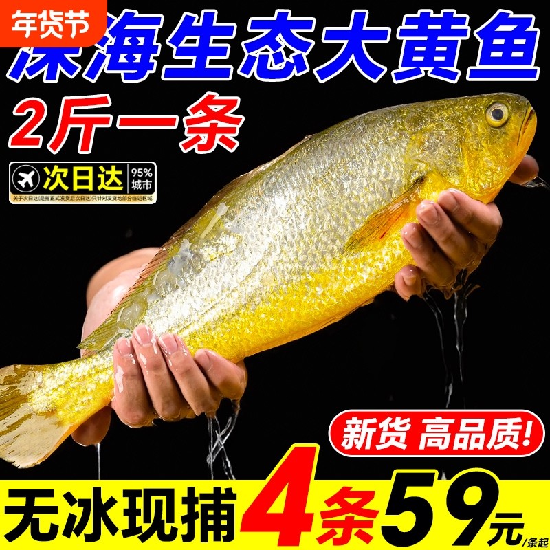黄花鱼新鲜冷冻鲜活深海生鲜野生大水产海鲜特产小黄鱼商用年货节,水产肉类/新鲜蔬果/熟食,黄鱼,淘宝优惠券,粉丝福利购,淘宝优惠卷