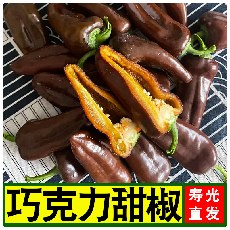 现摘巧克力水果彩椒当季新鲜五彩辣椒生吃脆甜不辣黑紫色甜椒脆甜,水产肉类/新鲜蔬果/熟食,辣椒,淘宝优惠券,粉丝福利购,淘宝优惠卷