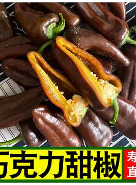 现摘巧克力水果彩椒当季新鲜五彩辣椒生吃脆甜不辣黑紫色甜椒脆甜